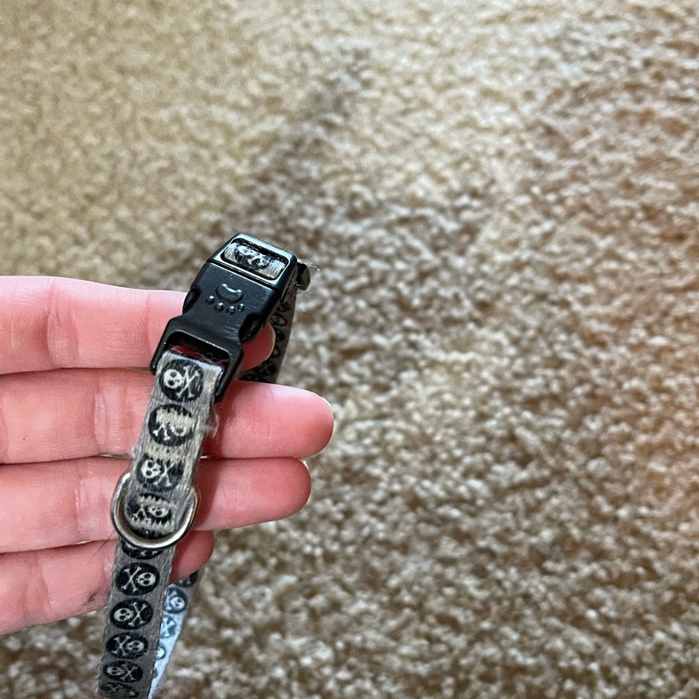 Dog Collar